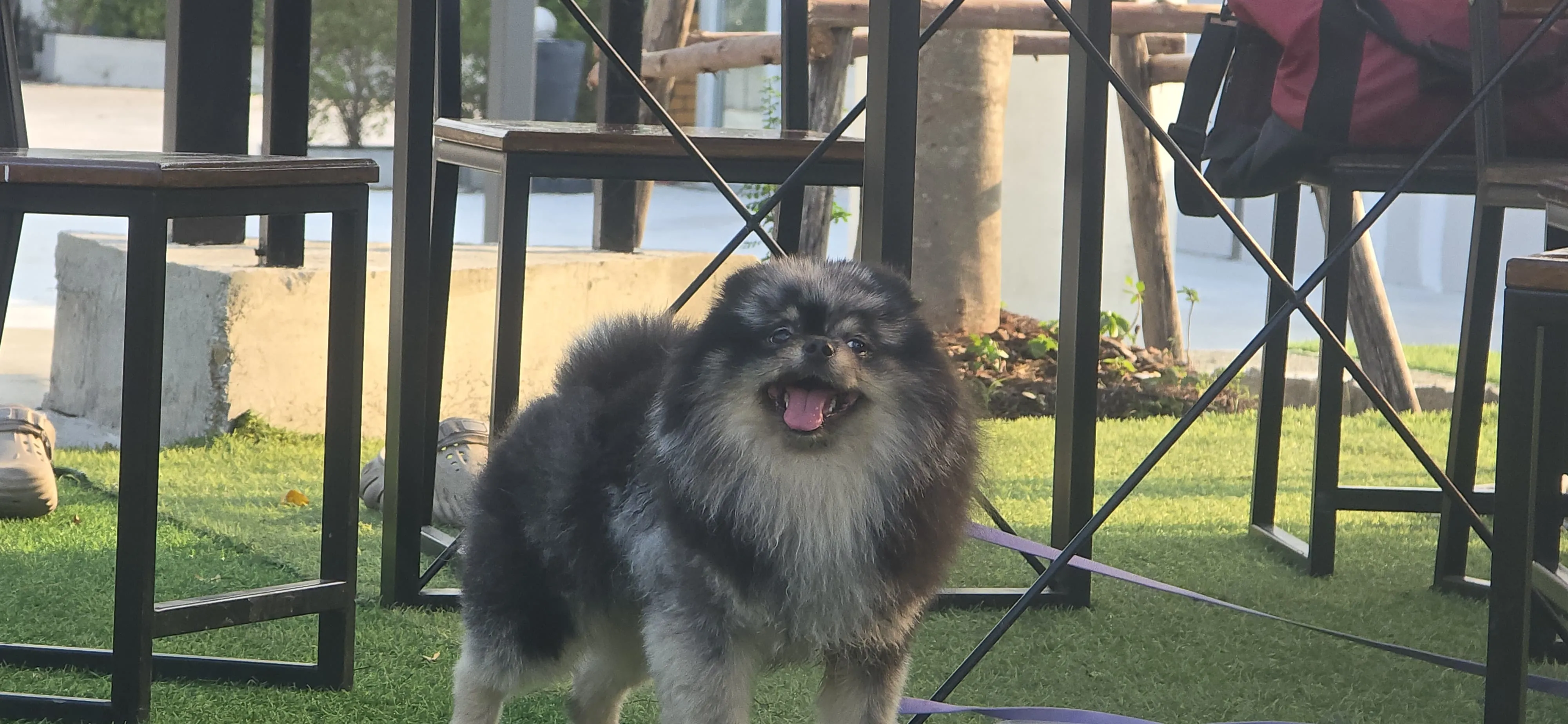 2-tower cable action at WakeGarden Bang Na